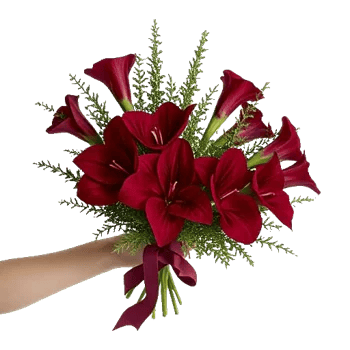 Elegant Calla Lilies