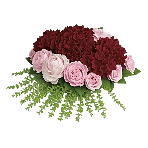 Petal Radiance Bliss