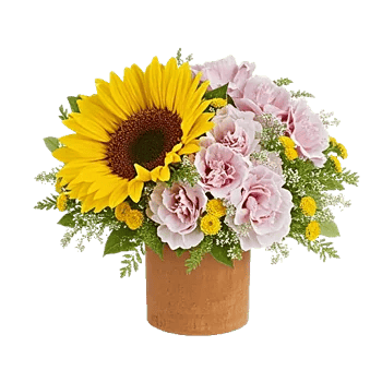 Amber Sunflower Glow