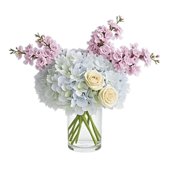 Ivory Blossom Radiance