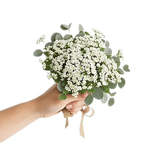 Blossom Radiant Whisper