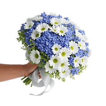 Blossom Petal Serenity