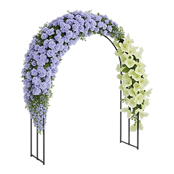 Ivory Blossom Radiance
