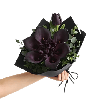 Elegant Calla Lilies
