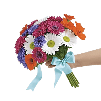 Coral Blossom Harmony