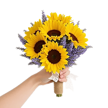 Twinkling Sunflower Dance