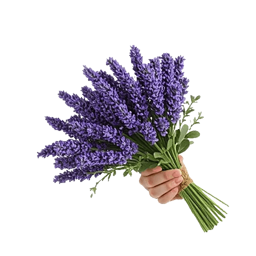 Lavender Bloom Grace