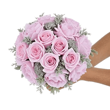 Pastel Pink Roses