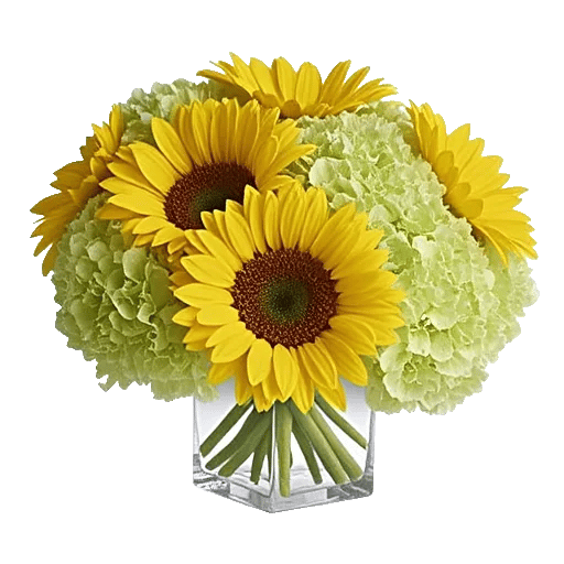 Radiant Bloom Cascade