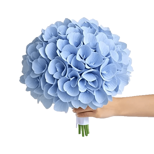 Sapphire Bloom Whisper