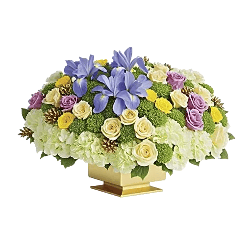 Ivory Blossom Radiance