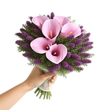 Elegant Calla Lilies