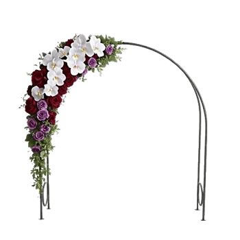 Modern White Orchids