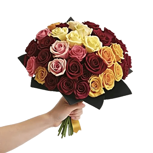 Crimson Rose Elegance