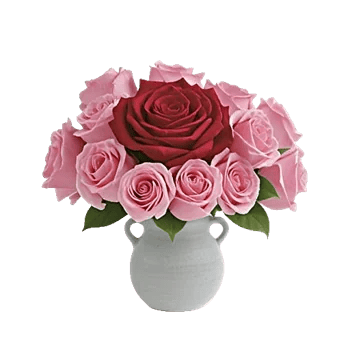 Radiant Rose Symphony