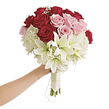 Delicate Petal Cascade