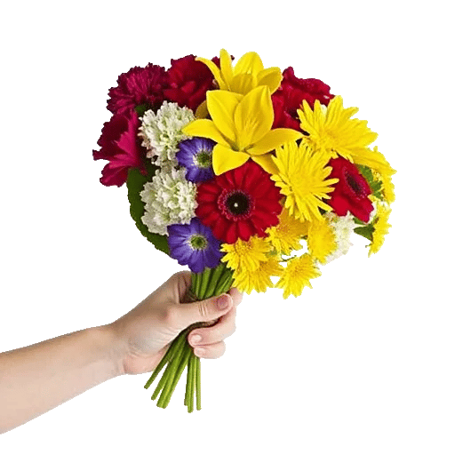 Blossom Harmony Display