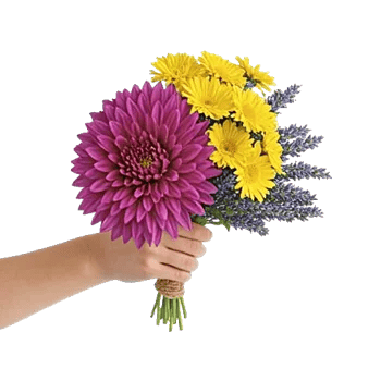 Radiant Bloom Cascade