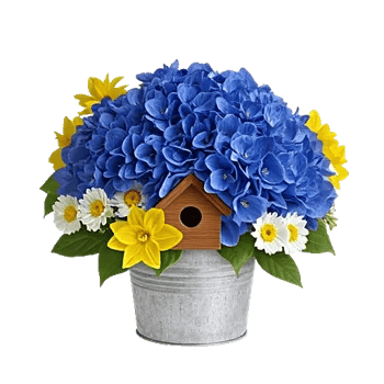 Serene Garden Harmony