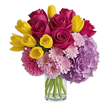 Velvet Tulip Display