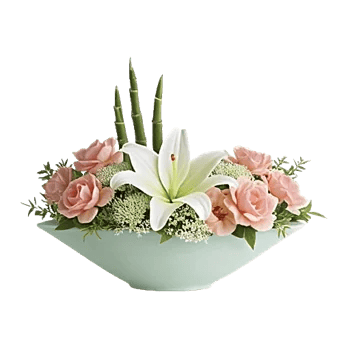 Ivory Blossom Radiance