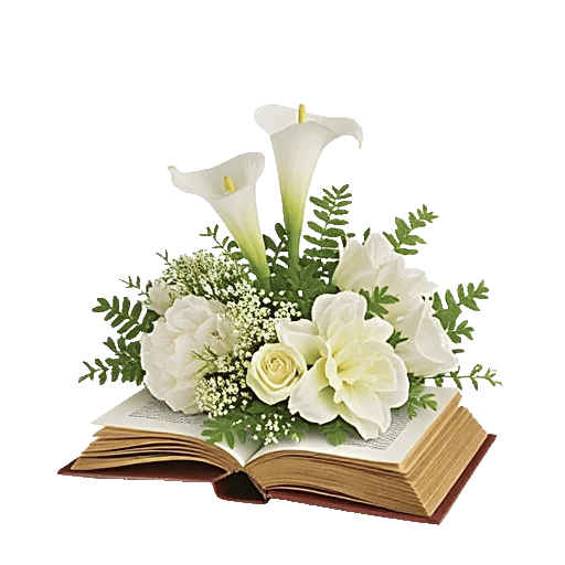 Elegant Calla Lilies