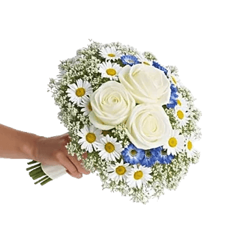 Ivory Garden Grace
