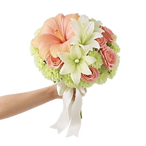 Peony Petal Harmony