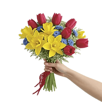 Blossom Harmony Display