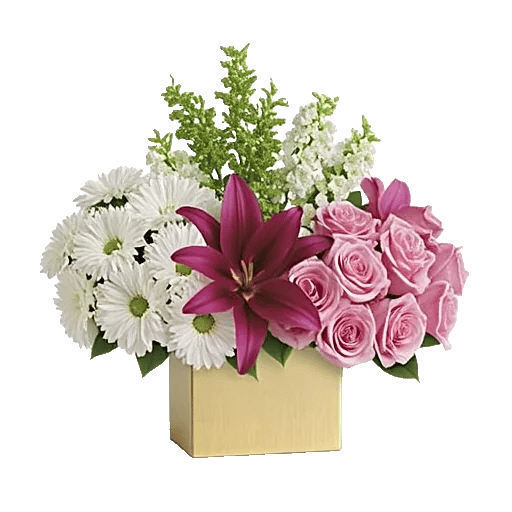 Ivory Blossom Radiance