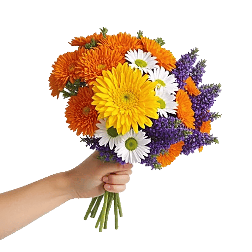 Petal Harmony Bliss