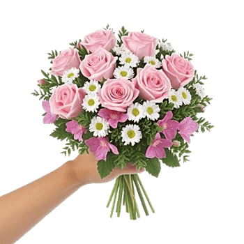 Pastel Pink Roses