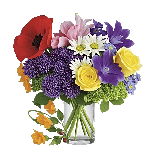 Petal Radiance Bliss