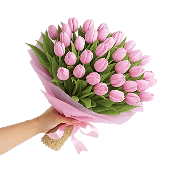 Velvet Tulip Display