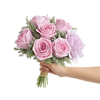 Pastel Pink Roses