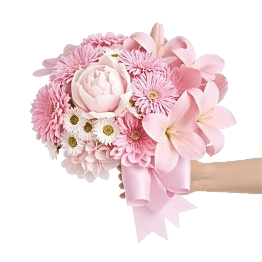 Peony Petal Harmony
