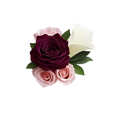 Elegant Calla Lilies