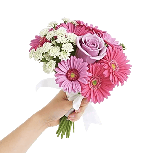 Petal Grace Harmony