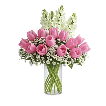 Velvet Tulip Display