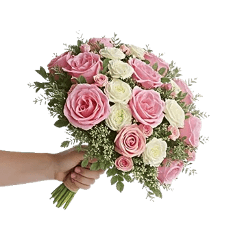 Pastel Pink Roses