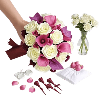 Elegant Calla Lilies