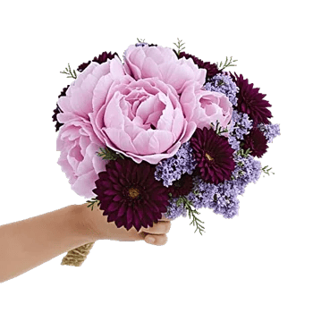 Peony Petal Harmony