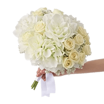 Serene Petal Harmony