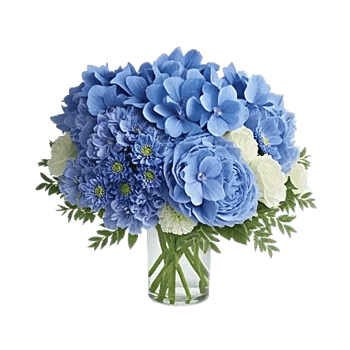 Sapphire Bloom Whisper
