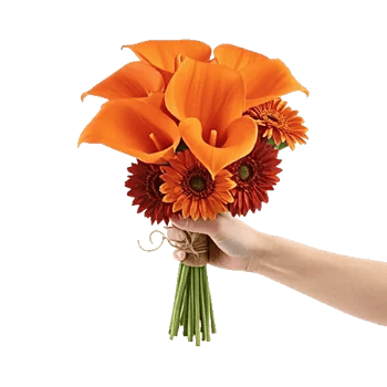 Elegant Calla Lilies