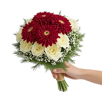 Crimson Rose Elegance