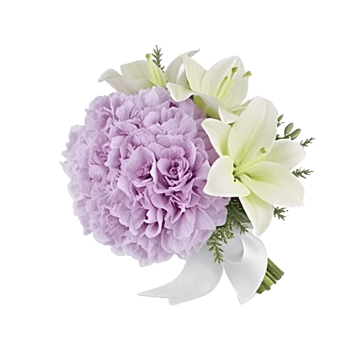 Serene Petal Harmony