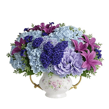 Sapphire Bloom Whisper