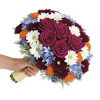 Blushing Rose Symphony