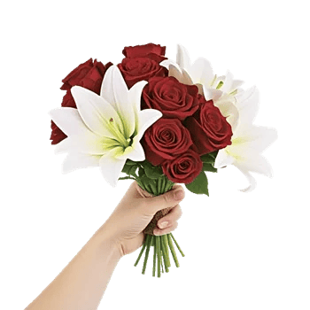 Crimson Rose Elegance